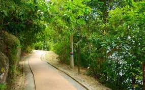 > penang tour & sightseeing. Visit Penang National Park In George Town Expedia