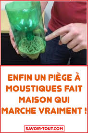 Enfin Un Piege A Moustiques Fait Maison Qui Marche Vraiment En 2020 Piege A Moustiques Fait Maison Piege A Moustiques Moustique