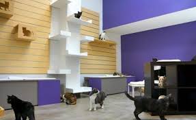 Alley cat allies' diy outdoor cat shelter. Friends For Life Leed Certified No Kill Animal Shelter In Houston Tx Hauspanther