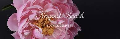 Maybe you would like to learn more about one of these? The 9 Best Options For Flower Delivery In Newport Beach 2021