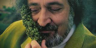 Jack Herer, Empereur du Chanvre