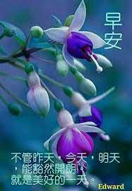 pin by 缘 福安 祥on 早安圖片 good morning greetings morning greeting food carving