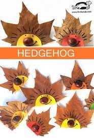 Spass macht es, die hosentaschen mit schätzen zu füllen: Hedgehog Krokotak Bastel Herbst Basteln Mit Kleinkindern Herbst Basteln Herbst