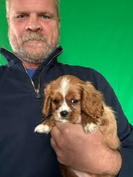 I had to give her with extra cuddles because nobody was brainy enough to  guess her name, but here's one hint they sprout in the spring can you guess  her name now?