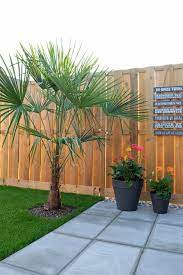 pin op zosammieenzo blog