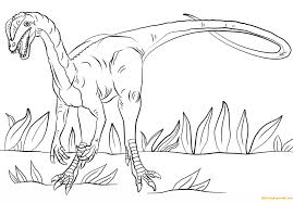 Free coloring pages printable pictures color kids drawing ideas prehistoric jurassic world dinosaurs park science fiction. Jurassic Park Dilophosaurus Coloring Pages Dinosaurs Coloring Pages Coloring Pages For Kids And Adults