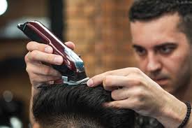 What are the best hair clippers in 2021? Top 10 Best Wahl Clippers For Home Professional Use 2021 Review