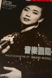 音樂圖鑑 David Wong 1991 limited press 168 pages SANDY LAM DANNY CHAN BEYOND