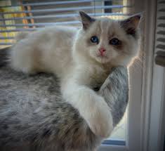 𝐐𝐮𝐢𝐜𝐤 𝐪𝐮𝐞𝐬𝐭𝐢𝐨𝐧 𝐟𝐨𝐫 𝐦𝐨𝐦𝐬 & 𝐝𝐚𝐝𝐬 💭 What's your  baby's cute nickname at home? 👶 Share it in the comments 💛 𝐉𝐨𝐢𝐧  𝐨𝐮𝐫 𝐜𝐨𝐦𝐦𝐮𝐧𝐢𝐭𝐲 𝐡𝐞𝐫𝐞: 🤝  https://www.facebook.com/share/g/1Cz9Vc5ytX/ 𝐒𝐡𝐨𝐩 𝐘𝐨𝐛𝐨𝐨 𝐡𝐞𝐫𝐞  ...