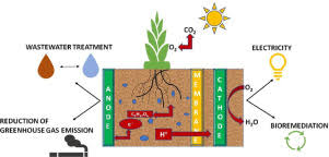 We did not find results for: Bioelectricity Production Using Plant Microbial Fuel Cell Present State Of Art Sciencedirect