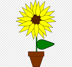 Lukisan bunga matahari, gambar bunga matahari umum, daun bunga matahari, oranye, bunga tiga bunga matahari kuning, common sunflower kartun sunflower seed, cartoon sunflower. Tanaman Bunga Matahari Biasa Kartun Bunga Matahari Makanan Daun Bunga Matahari Png Pngwing