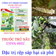 Cova 40EC