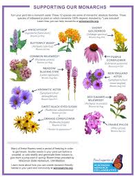 Maybe you would like to learn more about one of these? Down To The Nitty Gritty Creating The Churchill Alternative School Butterfly Garden Wild Pollinator Partners