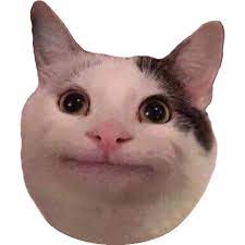 Like If This Is Relatable Guys Memes Funny Cat Faces Cat Memes Cats