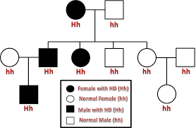 Huntingtons Disease Home