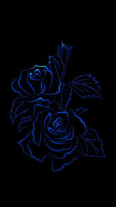 Most Beautiful Black And Blue Roses Blue Roses Rose Wallpaper Blue Roses Wallpaper Black Phone Wallpaper