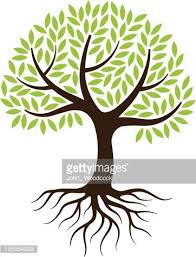 Leaf trees forest family tree flower wood three leaves christmas tree nature house branch tree of life tree silhouette grass tree roots. Little Tree Illustration With Roots Vector Art Getty Images Tree Illustration Tree With Roots Drawing Roots Drawing