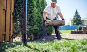 Yard aerators work best on cleared, mowed yards. How To Start A Landscaping Or Lawn Care Business Nerdwallet