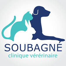 Clinique Vétérinaire Soubagné