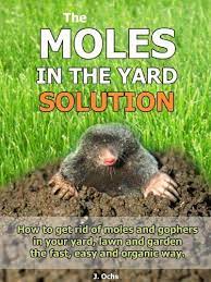 I know that there are professionals who do come out, lay traps and kill them or you could buy some rodent poison at the local home depot/any gardening store. The Moles In The Yard Solution How To Get Rid Of Moles And Gophers In Your Yard The Fast Easy And Orga How To Get Rid Of Moles Get Rid