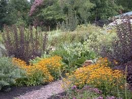 Image result for native plants tennessee