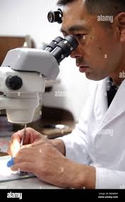 Master watchmaker Banque de photographies et d'images à haute résolution