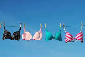 How to start a lingerie line. If You Ve Not Been Wearing A Bra Much Lately You Need To Read This Woman Home