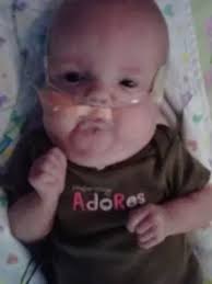 Obituary information for Sophia Lynn Doherty