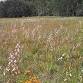 Grassland tour – Woodend Racecourse event image