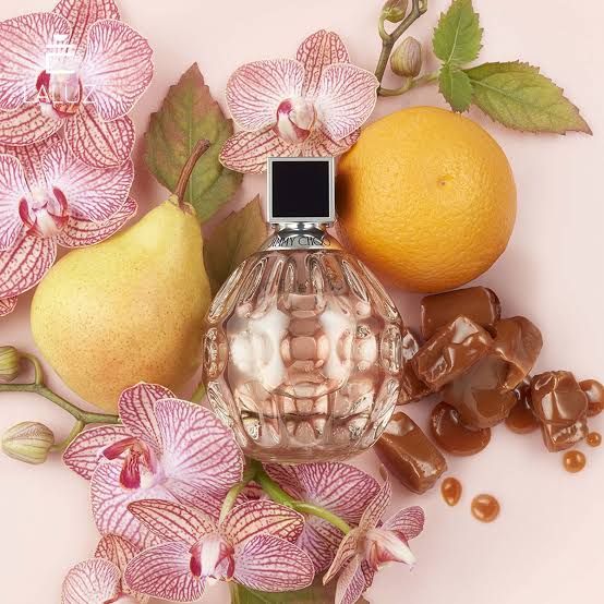 Review nước hoa Jimmy Choo: Mùi hương nào thơm nhất 2024