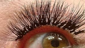 Image result for cluster lashes