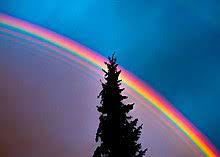 If you're curious about different kinds of rainbows, check out this rainbow symphony infographic for cool facts and advice about making your own rainbows. Rainbow Wikipedia