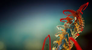 Full Screen Computer Wallpaper Hd Full Size Free Download We have 75+ amazing background pictures carefully picked by our community.