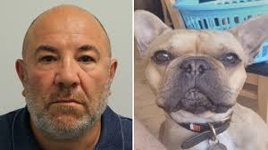 Bob the bulldog helps smash international drug ring