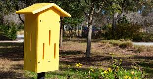 Temporarily closed until further notice. Die 3 Besten Schmetterlingshauser 2021 Im Test Garten Schule