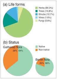 Green agro farm (pvt) ltd. Sustainability Free Full Text Urban Foraging In Berlin People Plants And Practices Within The Metropolitan Green Infrastructure
