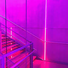 Plant plants indoor plants flora painting portrait selfie room decor decor glow aesthetic cozy glow pink glow purple glow glow blog dark purple purple aesthetic purple pink world pastel pink pink pink aesthetic pale pink hot pink. Pink Purple And Glow Image 6180339 On Favim Com