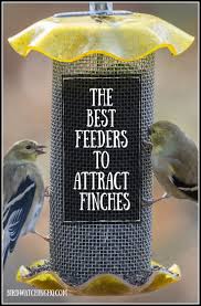 Best Bird Feeders For Small Birds Uk The 4 Best Finch Feeders In My Backyard 2020 Bird Watching Hq Finch Feeders Backyard Birds Feeders Best Bird Feeders