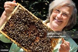 961 Hoehn Stock Photos, High-Res Pictures, and Images