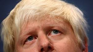 He has been member of parliament (mp) for uxbridge and south ruislip since 2015 and was previously mp for henley from. Blond Bombshell Does Boris Dye His Hair Hair Dyed Hair Dye