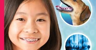 Jean Little Library: Open Wide! The ultimate guide to teeth by Susan Grigsby