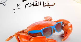 Campaign Panosundaki Pin