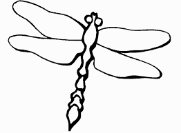 Dragonfly Image Dragonfly Wings Dragonfly Drawing Dragonfly Images
