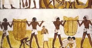 Jobs In Ancient Egypt Egyptian History Ancient Civilizations Ancient Egypt