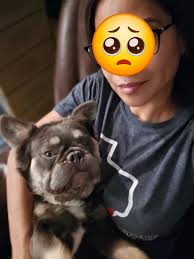 This is my boy 13 year old Dallas blue, store 4169