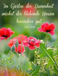 Pin Von Andrea Stein Auf Ich Spruche Zitate Nachdenkliche Spruche Ernst Ferstl