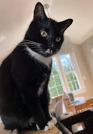 weekend open thread - September 6-7, 2025 - Ask a Manager