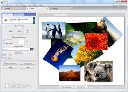 Download picasa for windows now from softonic: Picasa Download 2021 Latest