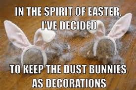 Where you need to type accented characters, we have provided a toolbar. Quotes About Dust Bunnies 17 Quotes