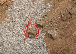 Image result for site:byggahus.se fyllnad